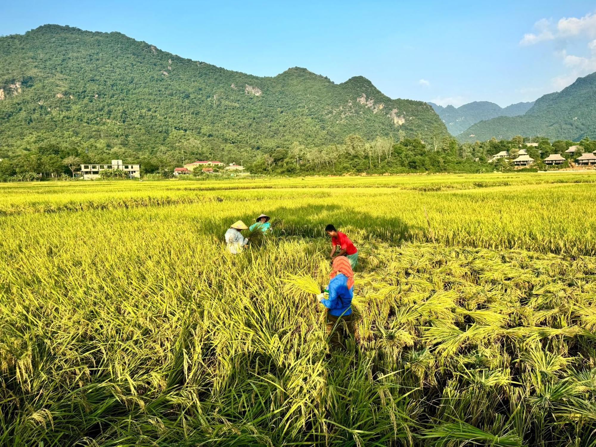 Mai Chau With Love Homestay Ban Bang 外观 照片